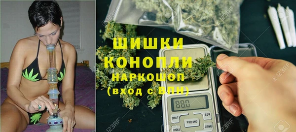 дживик Арсеньев