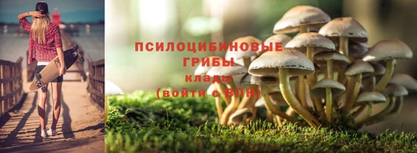 ПСИЛОЦИБИНОВЫЕ ГРИБЫ Армянск