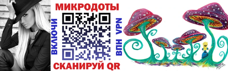 Псилоцибиновые грибы Psilocybine cubensis Урай